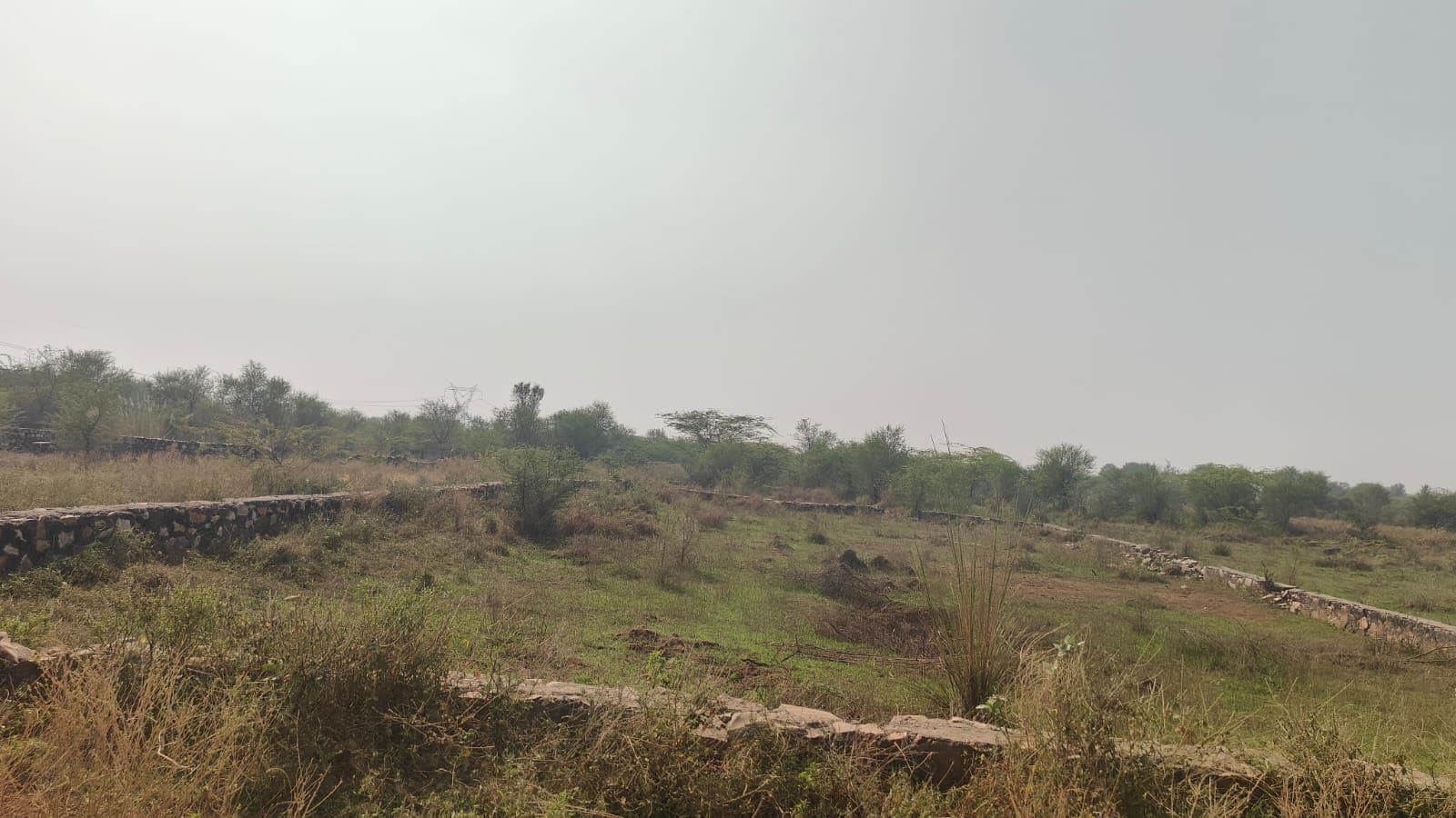 200 sq yd east-facing residential plot in Jagatpura